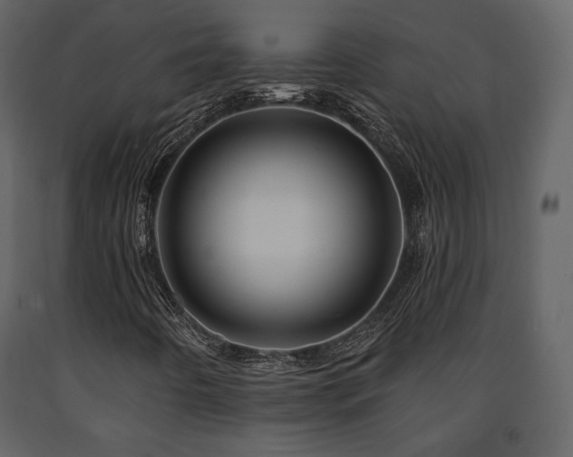 X0000091721442200708241338