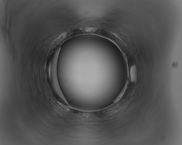 X0000091721443200708241338