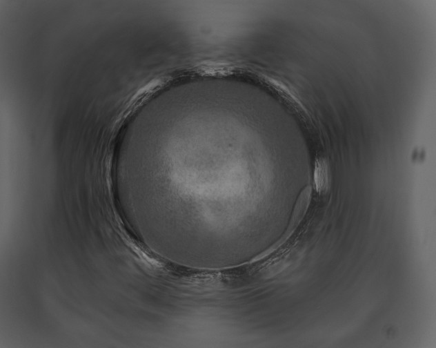 X0000091721444200708241338