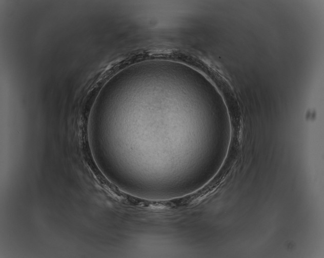 X0000091721445200708241338