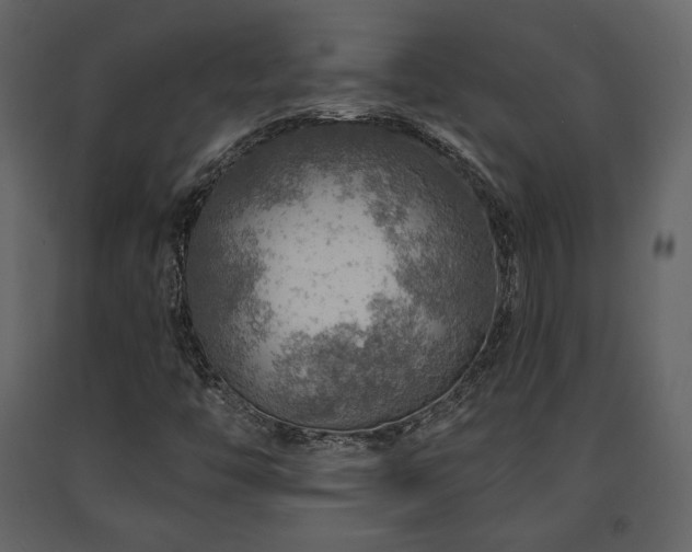 X0000091721446200708241338