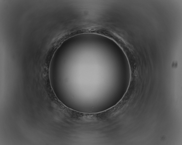 X0000091721447200708241338