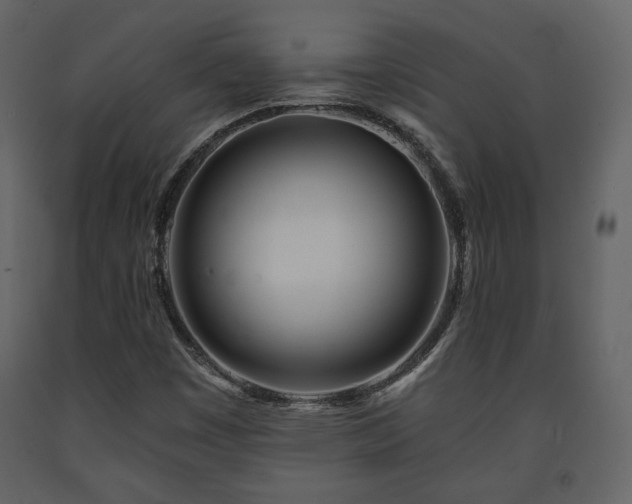 X0000091721449200708241338