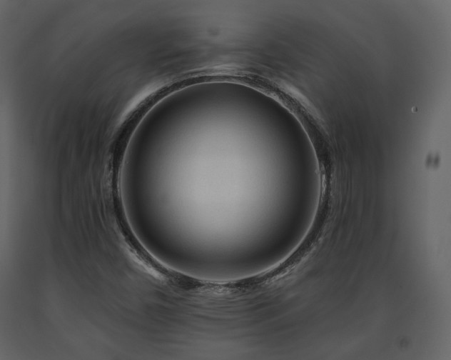 X0000091721450200708241338