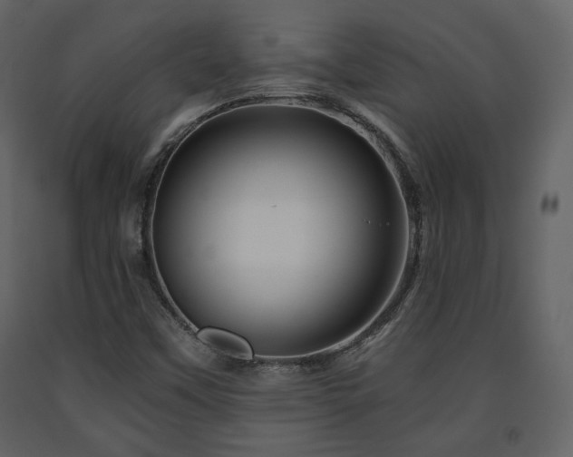 X0000091721451200708241338