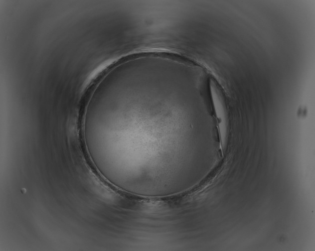 X0000091721452200708241338