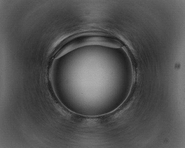 X0000091721453200708241338