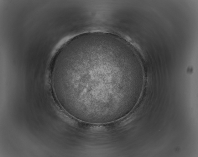 X0000091721454200708241338