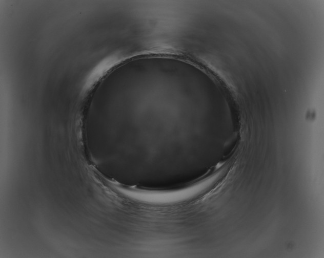 X0000091721455200708241338