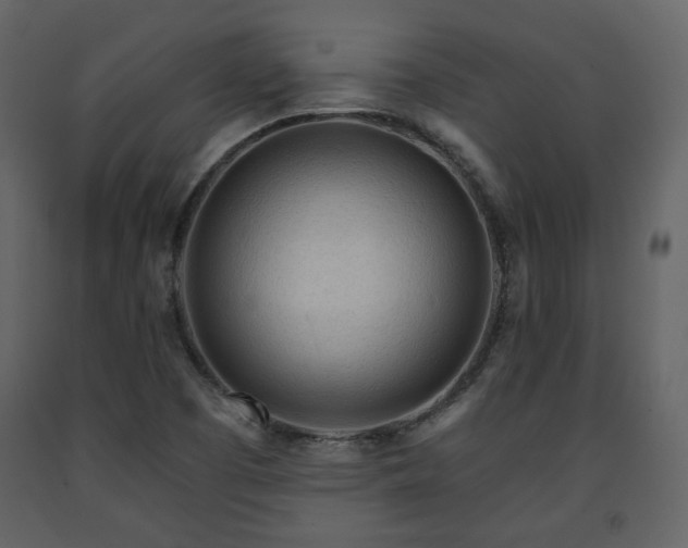 X0000091721457200708241338