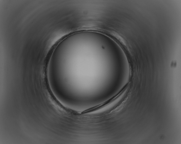 X0000091721458200708241338