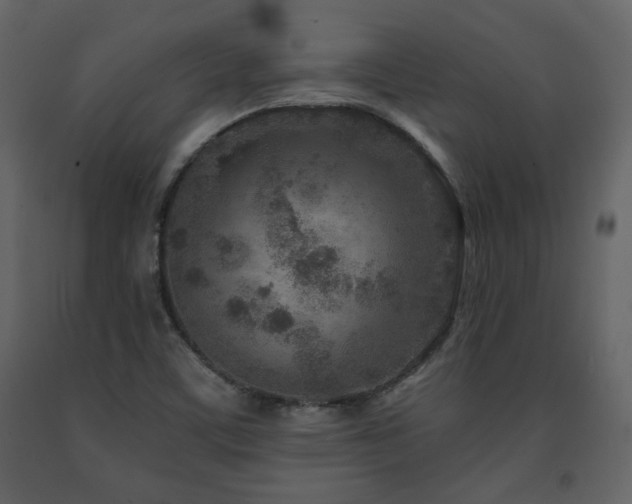 X0000091721459200708241338