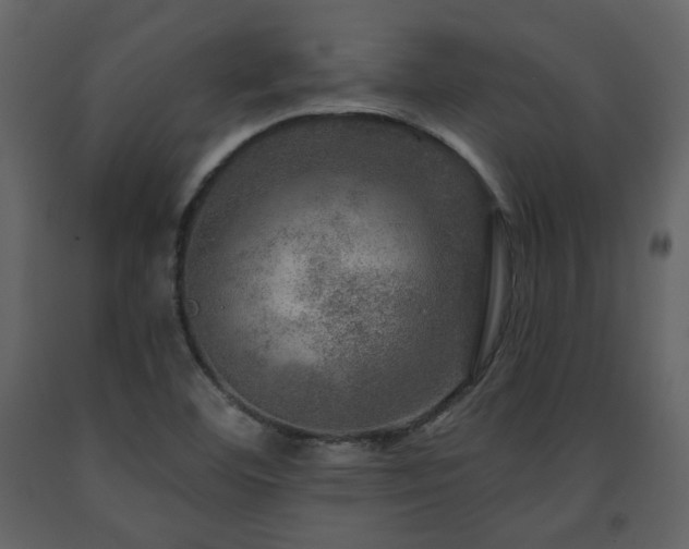 X0000091721460200708241338