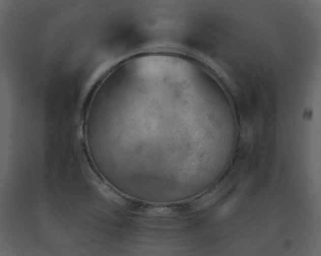 X0000091721462200708241338