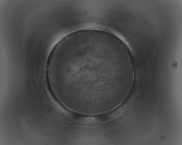X0000091721463200708241337