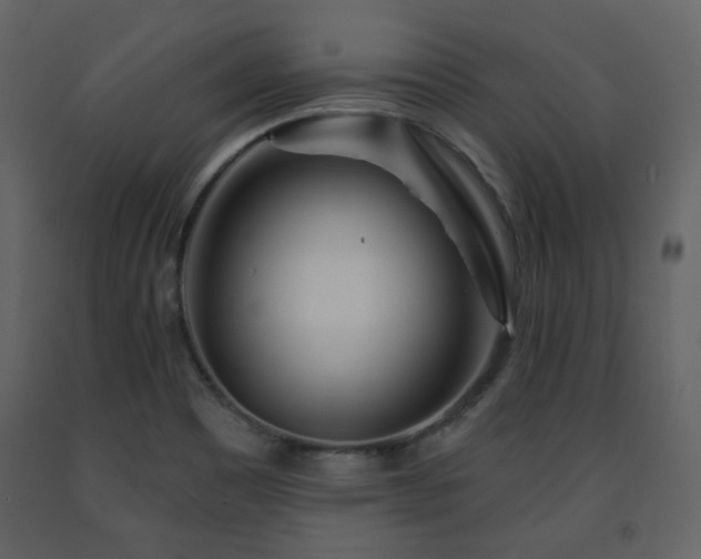 X0000091721465200708241337