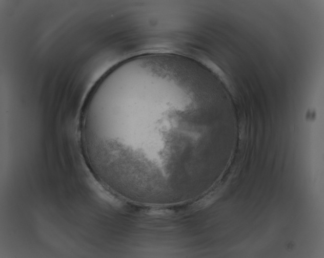 X0000091721466200708241337