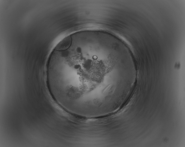X0000091721467200708241337