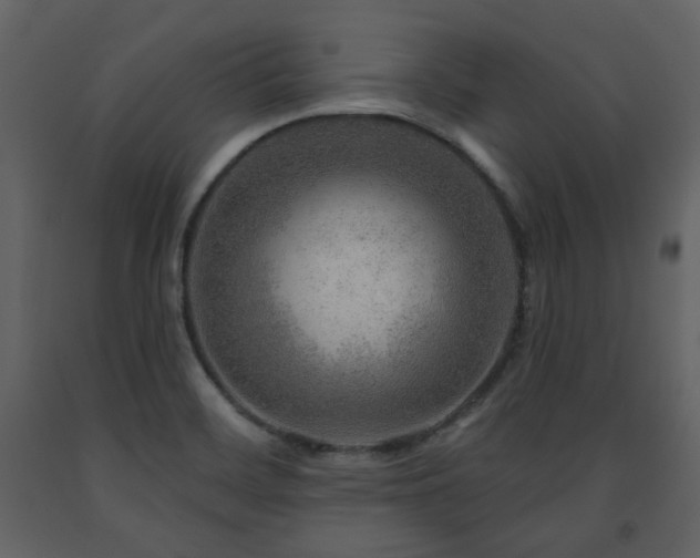 X0000091721468200708241337