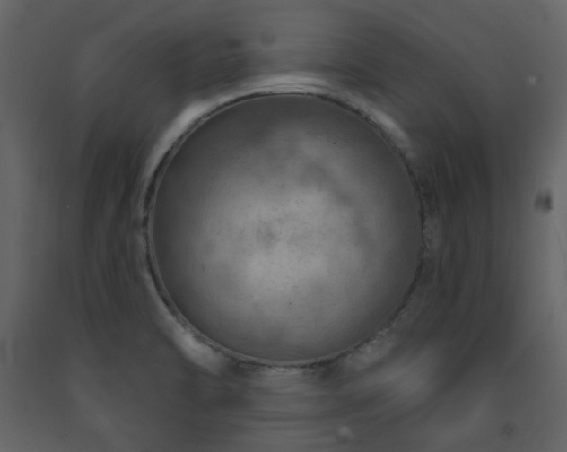 X0000091721470200708241337