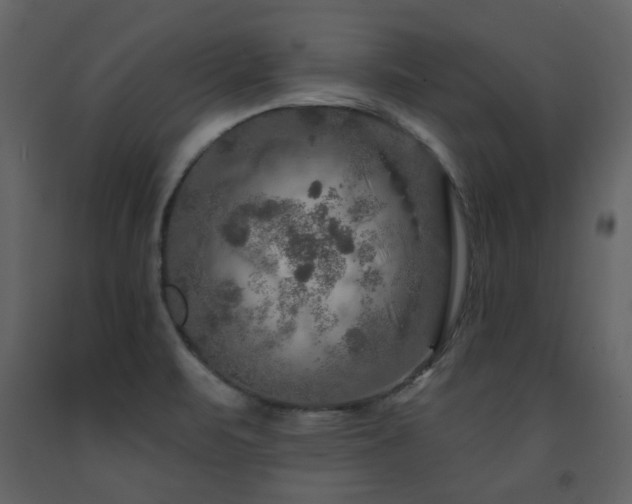X0000091721471200708241337