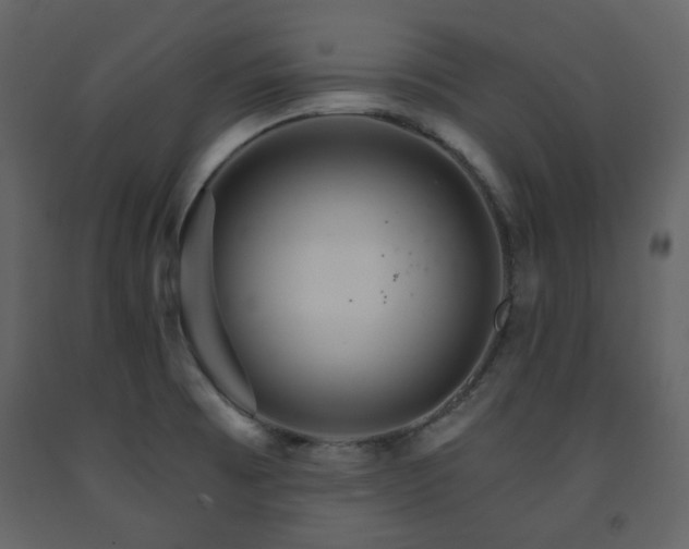 X0000091721473200708241337