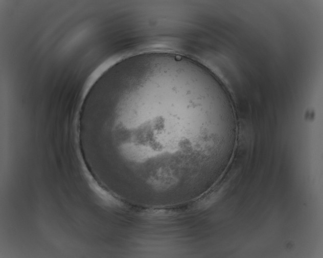 X0000091721474200708241337