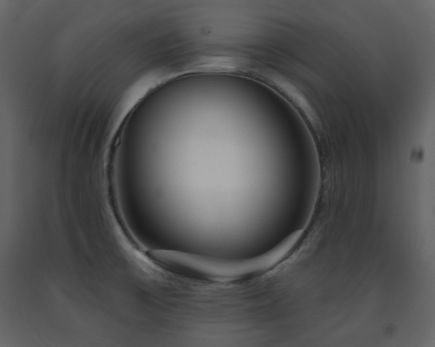 X0000091721475200708241337