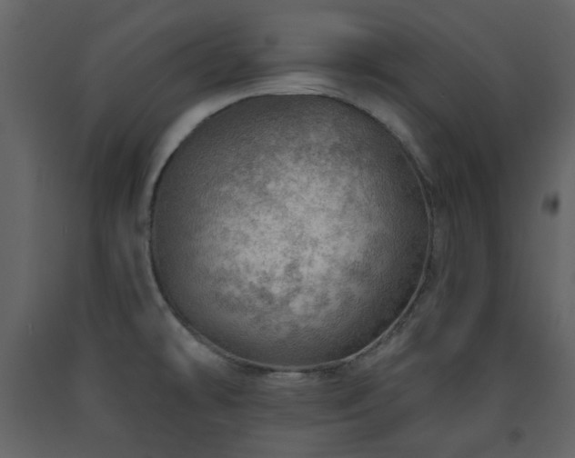 X0000091721478200708241337