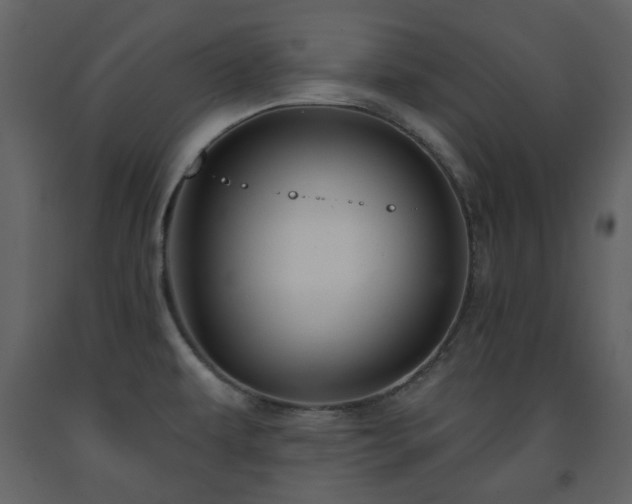 X0000091721479200708241337