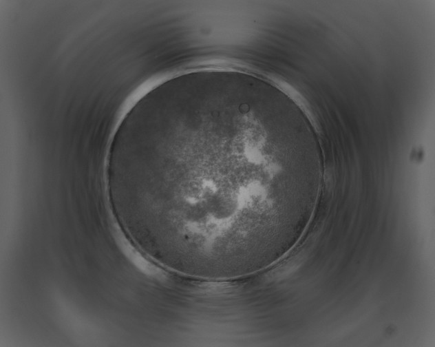 X0000091721482200708241337