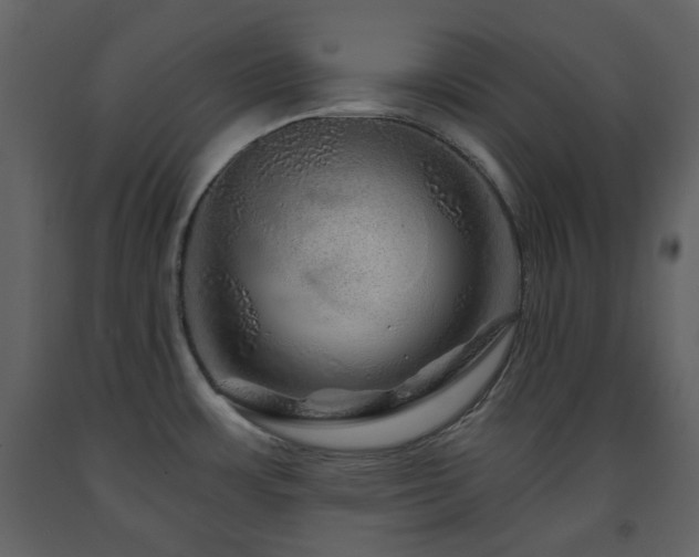 X0000091721483200708241337