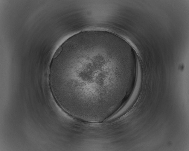 X0000091721484200708241337