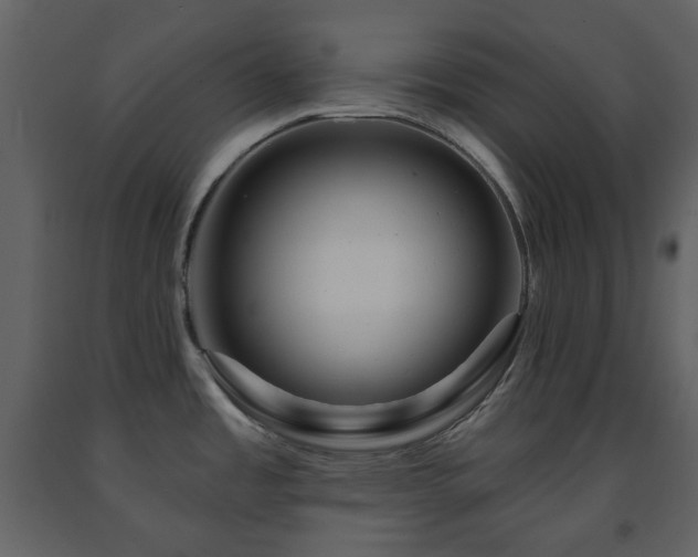 X0000091721485200708241337