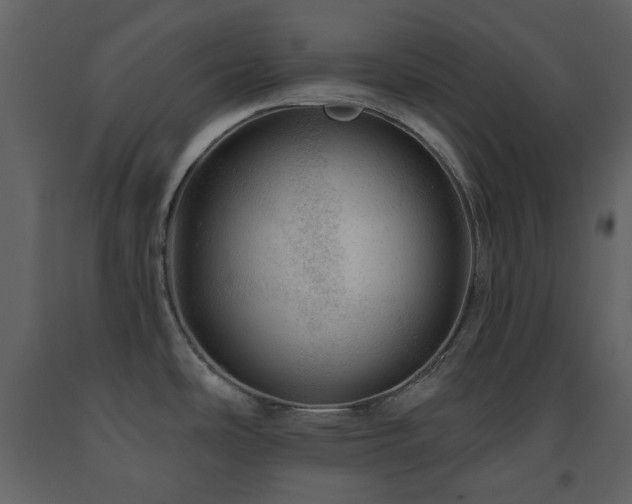 X0000091721486200708241337