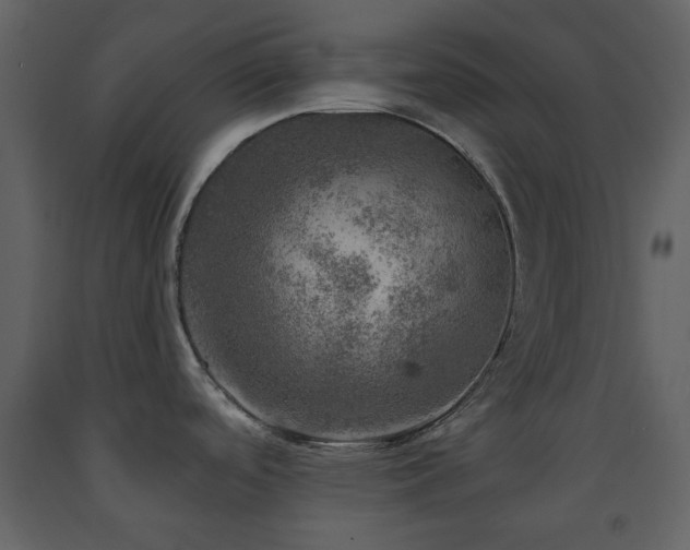 X0000091721488200708241337