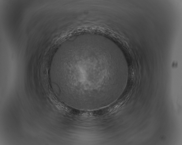 X0000091721489200708241336