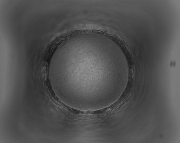 X0000091721493200708241337