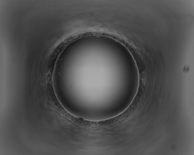 X0000091721495200708241337