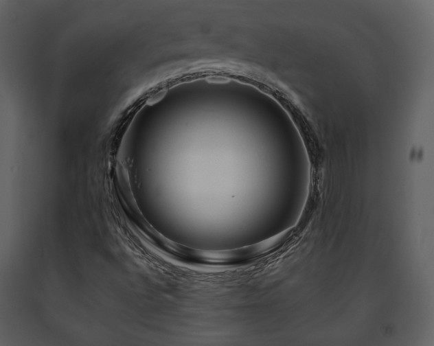 X0000091721496200708241337