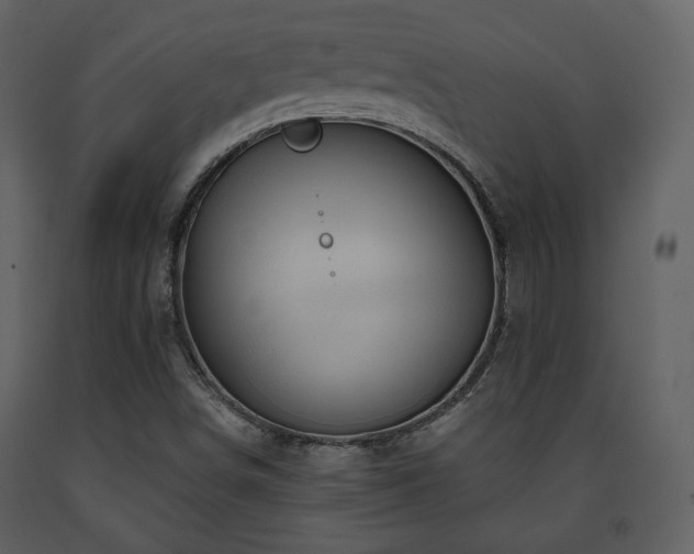 X0000091721498200708241337