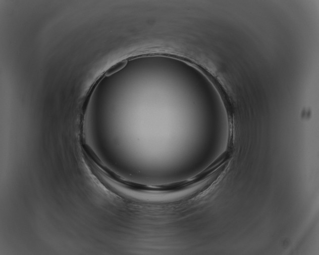 X0000091721500200708241337