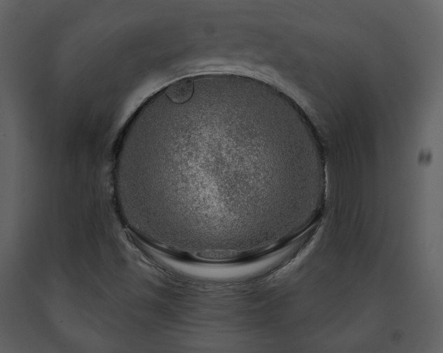 X0000091721501200708241337