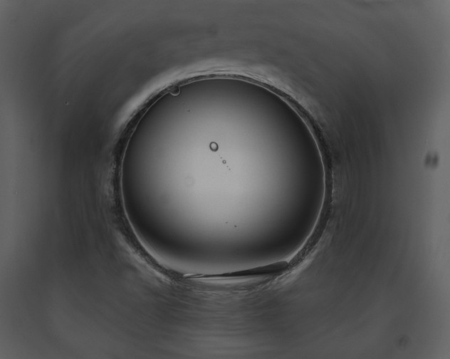 X0000091721502200708241337