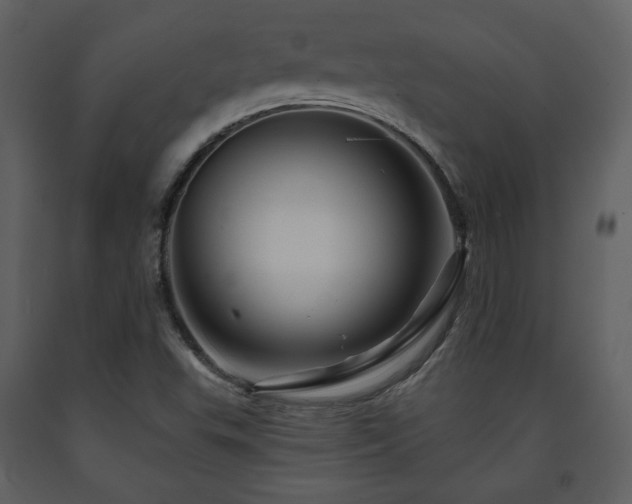 X0000091721503200708241337