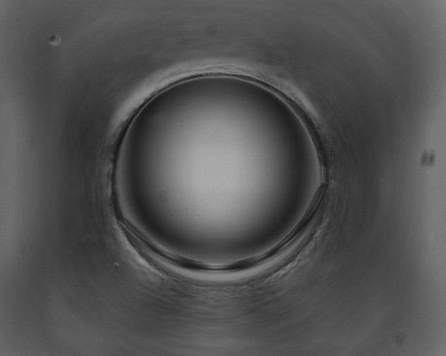 X0000091721504200708241337