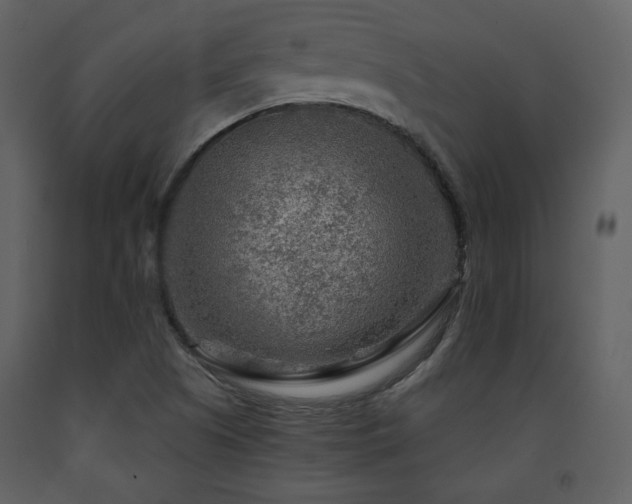X0000091721505200708241337