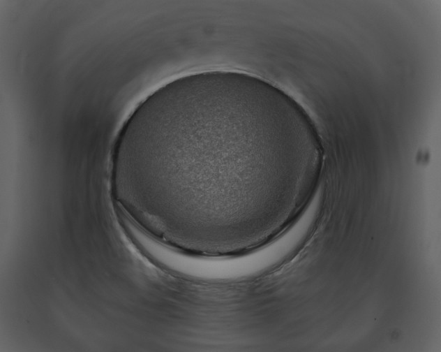 X0000091721508200708241337