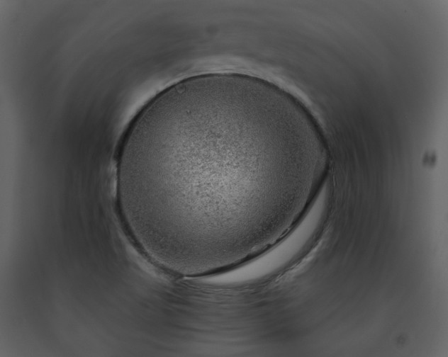 X0000091721509200708241337