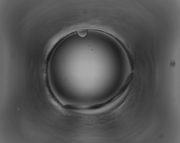 X0000091721511200708241337